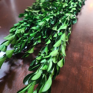 Könnte beinhalten: Ein frischer, leuchtend grüner Buchsbaumkranz mit kleinen, ovalen Blättern. Der Kranz ist diagonal auf einer dunkelbraunen Holzoberfläche angeordnet und schafft ein natürliches und dekoratives Element. Ideal für Heimdekoration oder Bastelarbeiten.