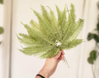 Preserved Staghorn Fern | Long-lasting REAL Centerpiece Floral Bouquet Wedding Greens | Pressed Plants | Boho Aesthetic moss wall art