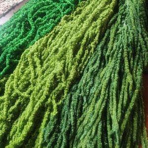 Può includere: Primo piano di diversi fili di amaranto verde essiccato, che mostra una gamma di tonalità dal chiaro allo scuro. La consistenza è densa e soffice, con un aspetto naturale e organico. L'immagine mette in risalto la forma unica e a cascata della pianta.