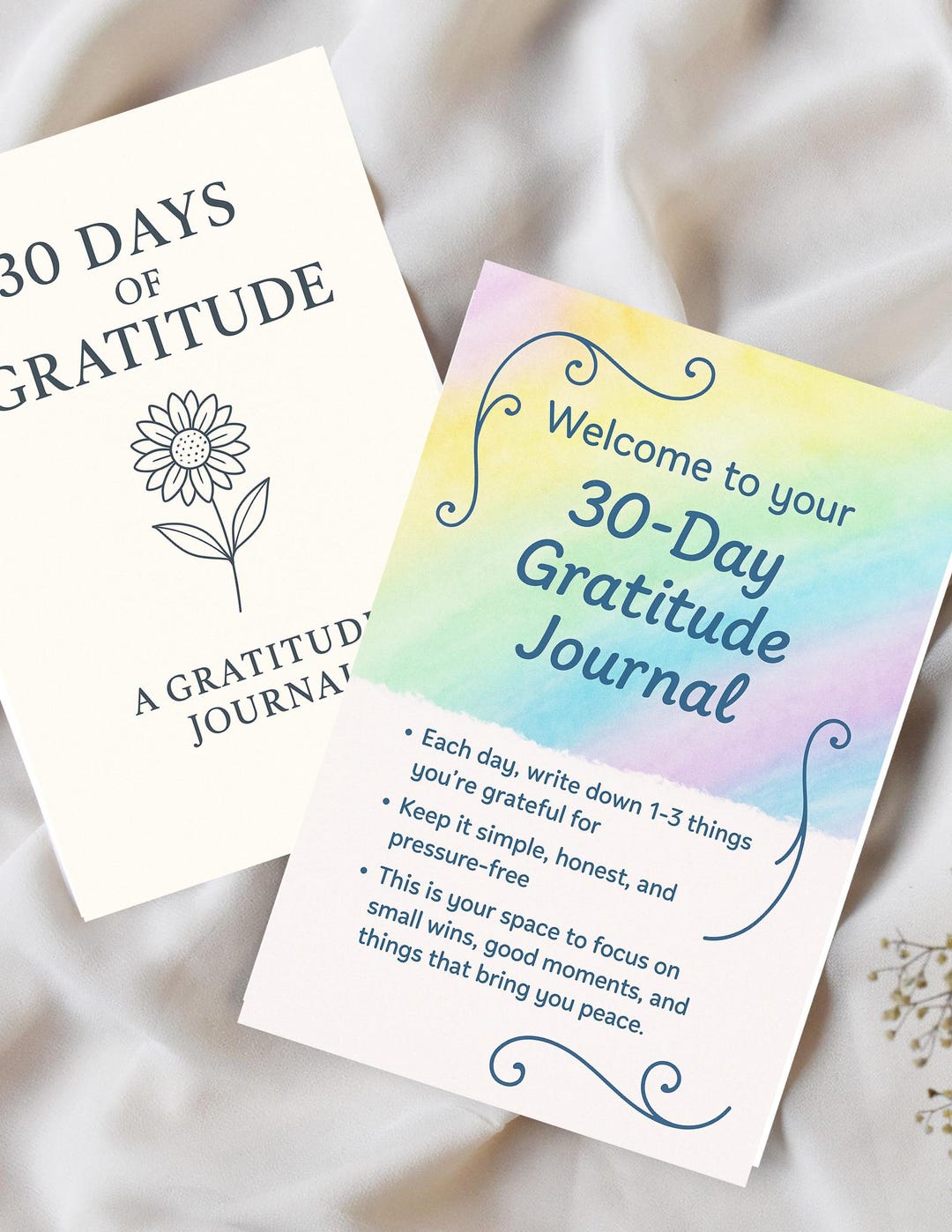 30 Days of Gratitude Journal - Etsy