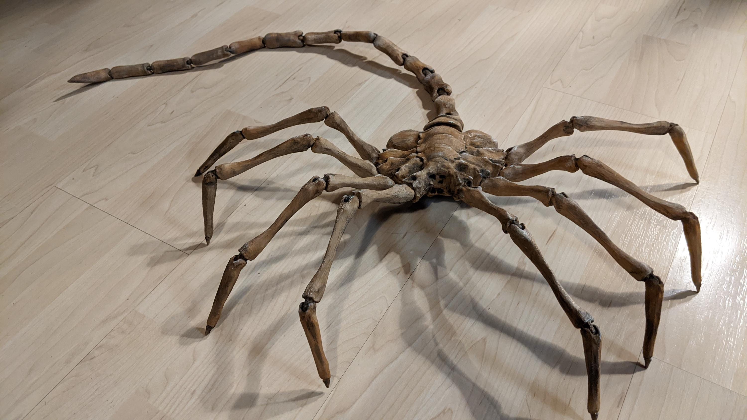 Facehugger Alien FDM 3D Printed DIY Kit