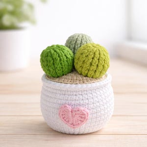 Crocheted Succulent Plant Pot – Mini Desk Decor, Pink Heart Detail, Handmade Home Accent