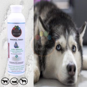 Mineral Rinse Anti Shedding Shampoo & Conditioner For Dogs Shed Defense Formula Natural Dog Shampoo Pet Grooming Hypoallergenic Pet Shampoo