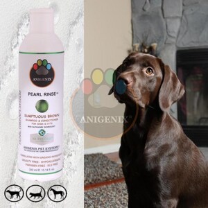 Pearl Rinse Brown Coat Shampoo & Conditioner For Dogs, Pearl Protein Color Enhancing Formula, Natural Dog Shampoo, Pet Grooming, Cat Shampoo