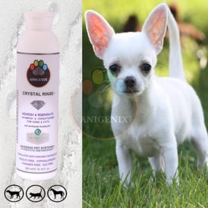 Natural, organic HAIRLESS pet shampoo & conditioner for normal/oily skin, Organic Dog Shampoo, All Natural Cat Shampoo, Dog Conditioner