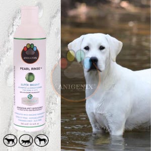 Pearl Rinse White Coat and Silver Coat Shampoo & Conditioner For Dogs, Pearl Protein Color Enhancing Formula Natural Dog Shampoo Cat Shampoo