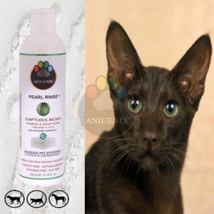 Pearl Rinse Brown Coat Cat Shampoo & Conditioner, Pearl Protein Color Enhancing Formula, Natural Cat Shampoo, Pet Grooming, Cat Conditioner