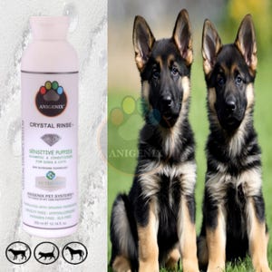 Crystal Rinse Shampoo & Conditioner For Puppies, Puppy Formula, Natural Dog Shampoo, Pet Grooming, Puppy Shampoo, Kitten Shampoo Cat Shampoo