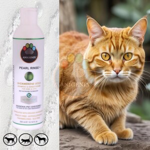Pearl Rinse Gold & Copper Coat Cat Shampoo and Conditioner, Pearl Protein Color Enhancing Formula, Natural Cat Shampoo, Cat Conditioner