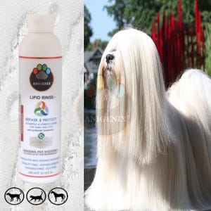 Lipid Rinse Repair & Protect Pet Shampoo and Conditioner, Restorative Formula, Natural Dog Shampoo, Dog Grooming, Pet Grooming, Cat Shampoo