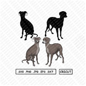 Greyhound SVG, Silhouettes dxf, Funny Dog SVG for Cricut, Greyhound clipart, png Cut file, iron on, vector, vinyl shirt design, plasma cut