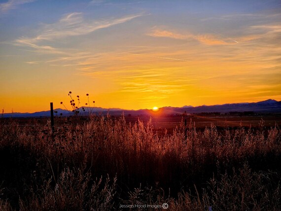 Evening Glow: Purple Mountains and Meadows