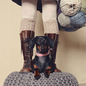 Op de afbeelding: Een zwarte en bruine teckel met een roze halsband zit op een grijze gebreide poef. Een persoon met witte panty's en bruine laarzen staat achter de hond en houdt een mand met garen vast.