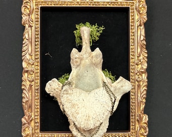 Wervels in frame