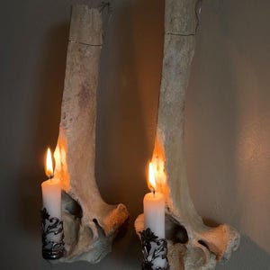 May include: Two wall-mounted candle holders crafted from large, textured, off-white animal bones. Each bone features a silver-toned metal filigree sleeve holding a white taper candle. The candles are lit, casting a warm glow against the bone surface.