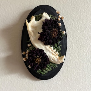 May include: An oval black wooden plaque featuring a white animal jawbone, two dark purple dried flowers, and green moss. Small light-colored dried buds are tucked around the jawbone and flowers, creating a textured arrangement on the dark base.