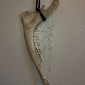 May include: A beige animal jawbone with a row of white teeth, suspended by a black cord. A delicate silver wire web is wrapped around the bone, extending from the top to the bottom, creating a spiderweb pattern across the curved structure.