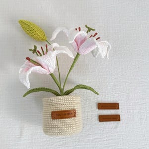Crochet Lily Flower Pot: Custom Plant Tag, Boho Decor Gift image 3