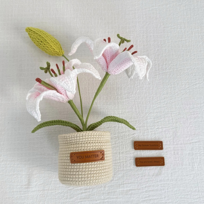 Crochet Lily Flower Pot: Custom Plant Tag, Boho Decor Gift image 3