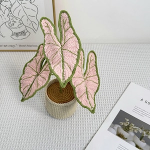 Handgjord virkad krukväxt – Monstera, Alocasia, Caladium (realistisk bladdekor)