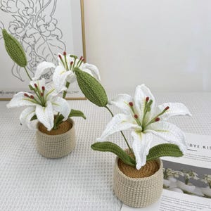 Crochet Lily Flower Pot: Custom Plant Tag, Boho Decor Gift image 5