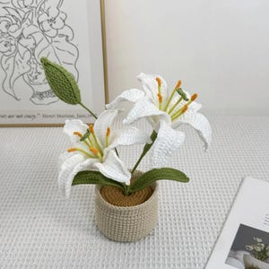 Crochet Lily Flower Pot: Custom Plant Tag, Boho Decor Gift Double - White