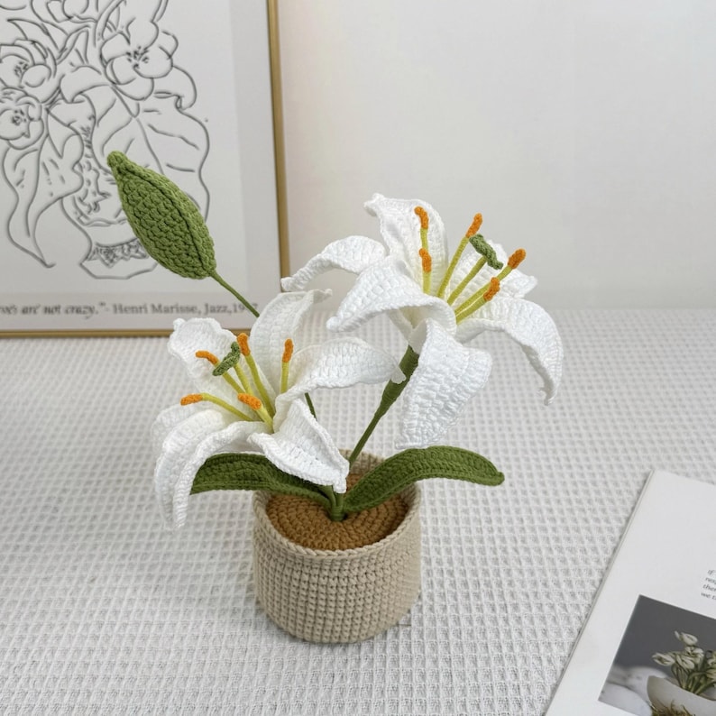 Crochet Lily Flower Pot: Custom Plant Tag, Boho Decor Gift Double - White