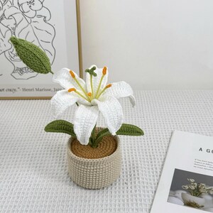 Crochet Lily Flower Pot: Custom Plant Tag, Boho Decor Gift White