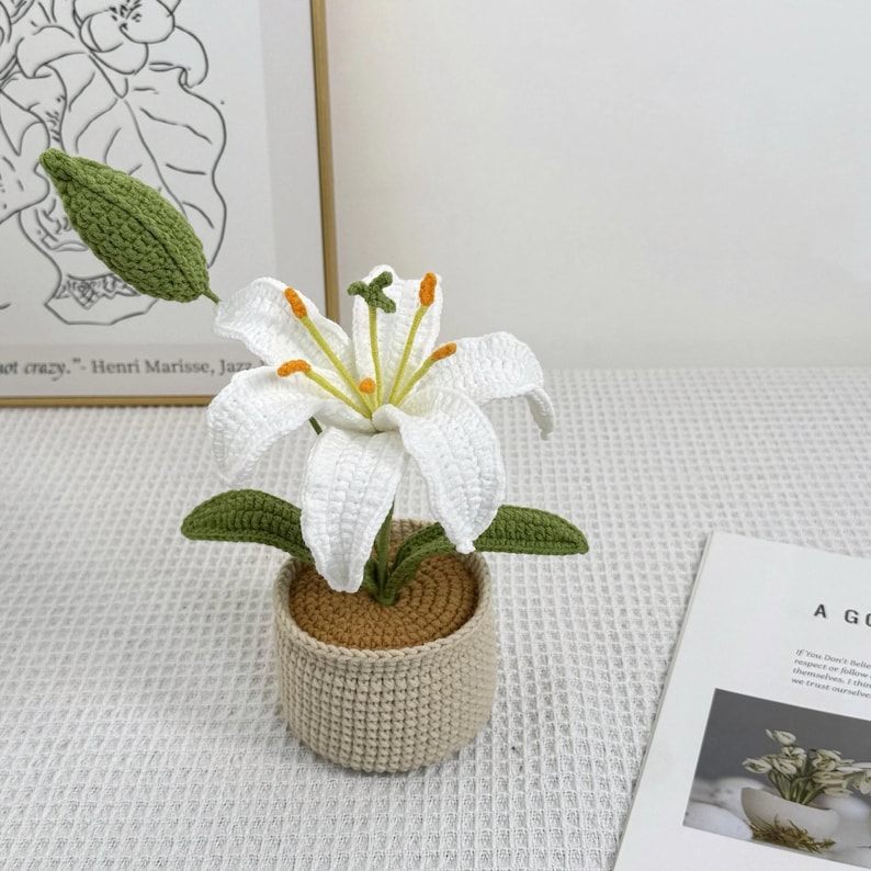 Crochet Lily Flower Pot: Custom Plant Tag, Boho Decor Gift White