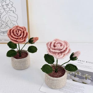Puede incluir: Dos plantas de rosas de ganchillo en macetas beige. Las rosas son de color rosa suave, con hojas y tallos verdes. Las macetas tienen un aspecto texturizado y las plantas se exhiben sobre una superficie blanca.