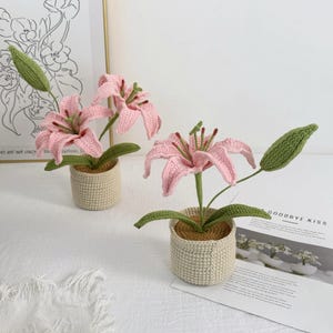 Crochet Lily Flower Pot: Custom Plant Tag, Boho Decor Gift image 16