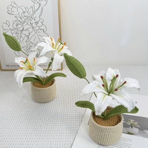Crochet Lily Flower Pot: Custom Plant Tag, Boho Decor Gift image 6