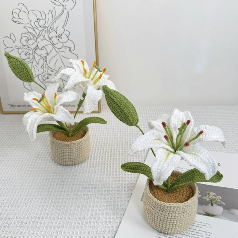 Crochet Lily Flower Pot: Custom Plant Tag, Boho Decor Gift image 6
