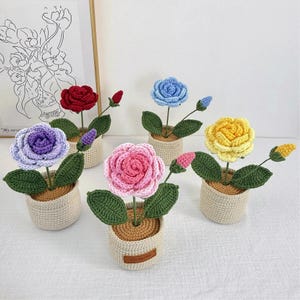 Puede incluir: Una colección de flores de ganchillo hechas a mano en pequeñas macetas beige. Las flores son de varios colores, incluyendo rojo, azul, morado, rosa y amarillo. Cada flor tiene hojas verdes y se muestra sobre una superficie blanca.