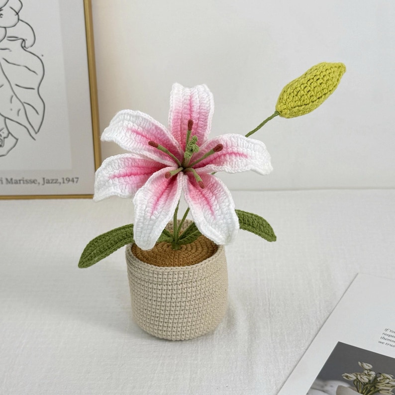 Crochet Lily Flower Pot: Custom Plant Tag, Boho Decor Gift Stargazer