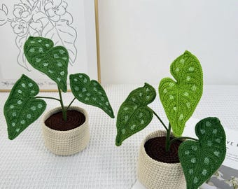 Pianta in vaso realizzata a mano all'uncinetto: Monstera, Alocasia, Caladium (decorazione realistica con foglie)