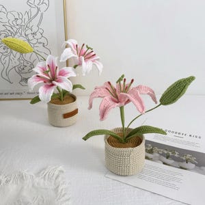 Crochet Lily Flower Pot: Custom Plant Tag, Boho Decor Gift image 15