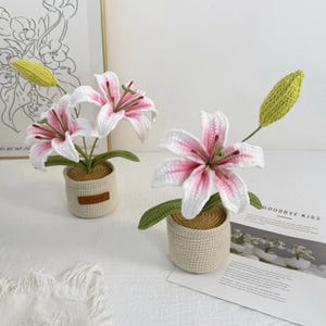 Pot de fleur de lys au crochet : étiquette personnalisée, cadeau de décoration bohème