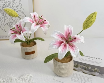 Crochet Lily Flower Pot: Custom Tag, Boho Home Decor Gift