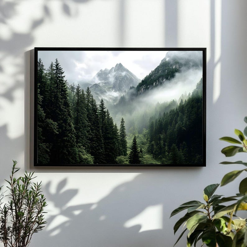 May include: A framed photograph of a misty mountain landscape with a dense forest in the foreground. The mountains are covered in clouds and the forest is lush and green.