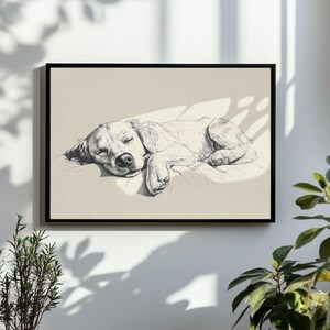 May include: A monochrome art print in a black frame, depicting a sleeping dog. The dog is sketched in detail, lying on a pillow with its eyes shut. The artwork captures the dog's relaxed pose and fur texture. The print is mounted on a white wall.