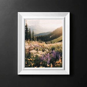 May include: A framed photograph of a mountain meadow with wildflowers in bloom. The meadow is filled with purple, white, and yellow flowers. The mountains in the background are covered in trees and the sky is a soft blue.