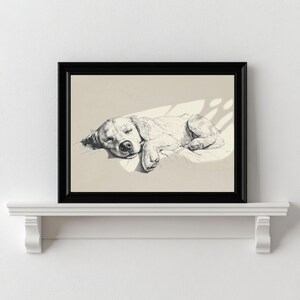 May include: A black framed print featuring a detailed monochrome illustration of a sleeping dog. The dog, likely a golden retriever, is depicted curled up on a cushion. The artwork is displayed on a white shelf, creating a simple, elegant aesthetic.