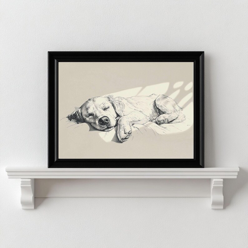 May include: A black framed print featuring a detailed monochrome illustration of a sleeping dog. The dog, likely a golden retriever, is depicted curled up on a cushion. The artwork is displayed on a white shelf, creating a simple, elegant aesthetic.