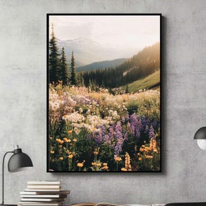 May include: A scenic landscape photograph featuring a field of wildflowers in shades of purple, yellow, and white, with a mountain range in the background. The sun is setting, casting a warm glow over the scene.