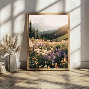 May include: A framed photograph of a mountain meadow with wildflowers in bloom. The meadow is filled with purple, yellow, and white flowers. The mountains in the background are covered in trees and snow. The sun is shining brightly and the sky is a light blue.