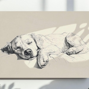 May include: A monochrome sketch of a sleeping golden retriever dog on a light beige surface. The dog is curled up, with its eyes closed and paws tucked in. The artwork is displayed on a canvas.