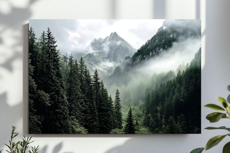 May include: A misty mountain landscape with a dense forest of evergreen trees in the foreground. The mountains are covered in fog and clouds, creating a sense of mystery and tranquility.