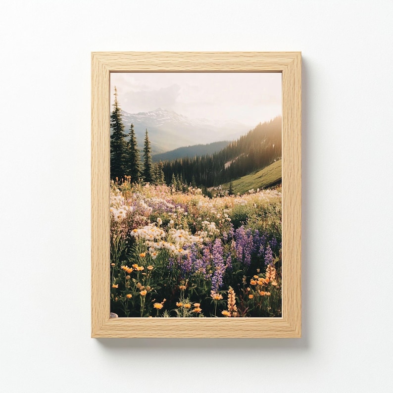 May include: A photograph of a mountain meadow with a variety of wildflowers in bloom. The meadow is in the foreground, with a mountain range in the background. The sky is a soft blue with a few clouds. The sun is shining brightly, casting a warm glow on the scene.