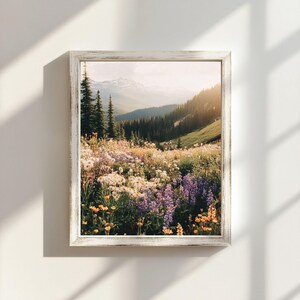 May include: A framed photograph of a mountain meadow with wildflowers in bloom. The meadow is in the foreground, with a mountain range in the background. The sun is shining brightly, and the sky is a light blue.